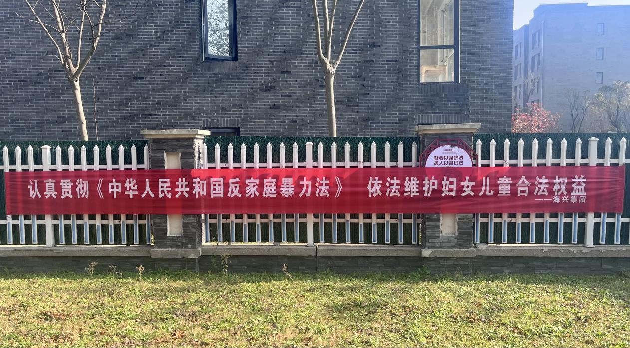 法務風控部開展國際反家庭暴力日普法宣傳活動.jpg